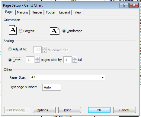 Page set up  dialog box for printing ms project plans