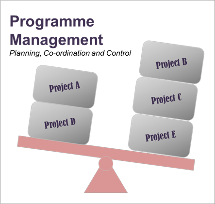 programme management, planning, co-ordination and control