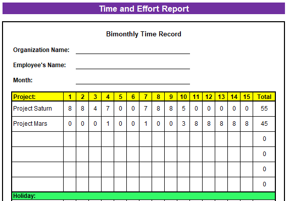 Bimonthly Project Timesheet Template
